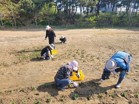 “갯벌이 답이다” 경기도, 해양 탄소흡수 전략 확대