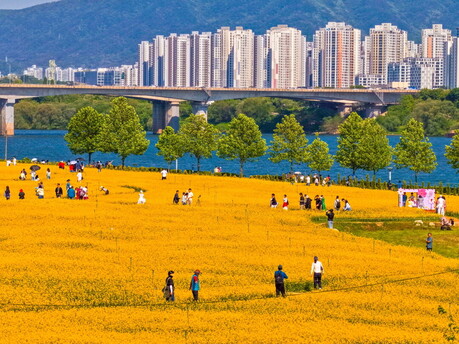 “시민 댓글이 축제 분위기 만들었다” 구리시 SNS 이벤트 주목
